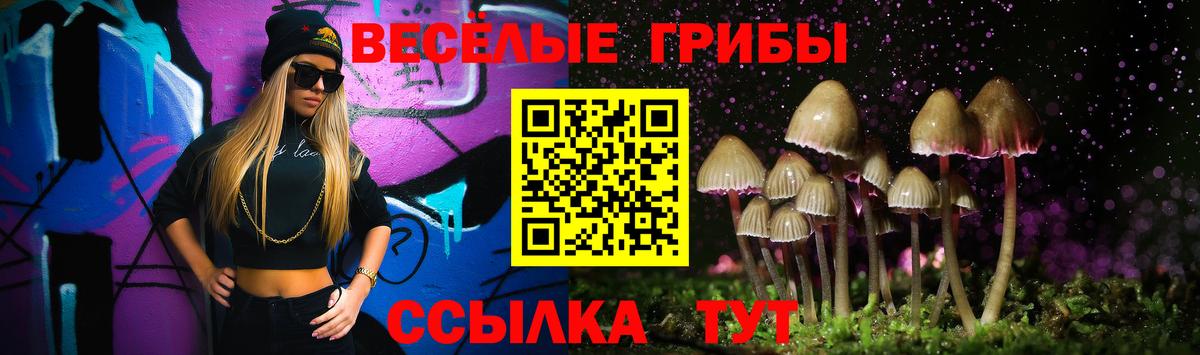 Галлюциногенные грибы Cubensis Учалы